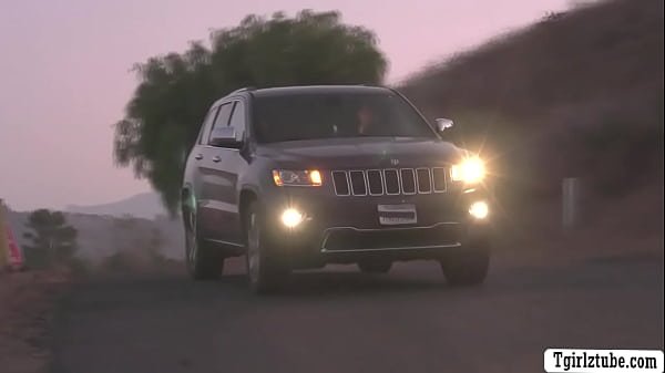 Lucky dude picks up TS hitch hiker and fucks her