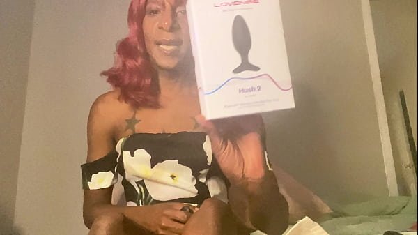 Lovense Hush 2 Vibrating Butt Plug Review